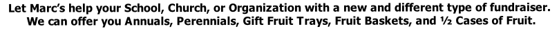 Let Marc’s help your School, Church, or Organization with a new and different type of fundraiser.  We can offer you Annuals, Perennials, Gift Fruit Trays, Fruit Baskets, and ½ Cases of Fruit.